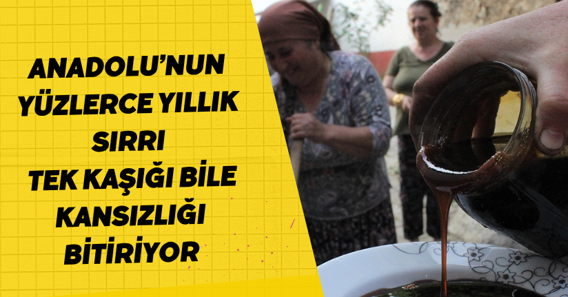 Anadolu’nun yüzlerce yıllık sırrı: Tek kaşığı bile kansızlığı bitiriyor