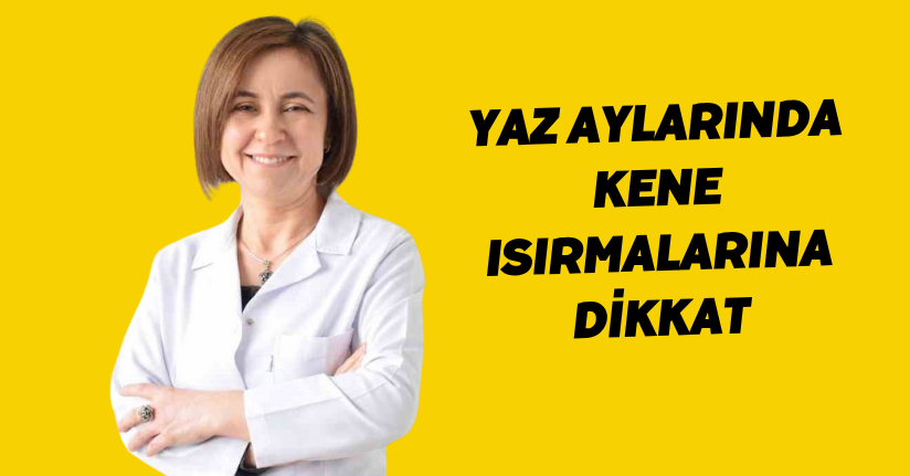 Yaz aylarında kene ısırmalarına dikkat