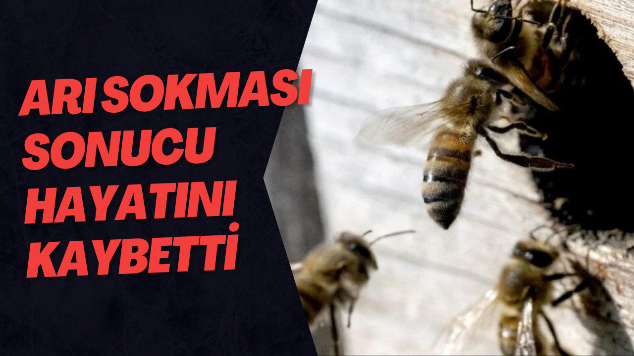 Arı Sokması Sonucu Hayatını Kaybetti