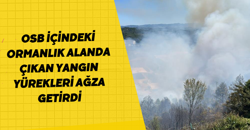 OSB içindeki ormanlık alanda çıkan yangın yürekleri ağza getirdi