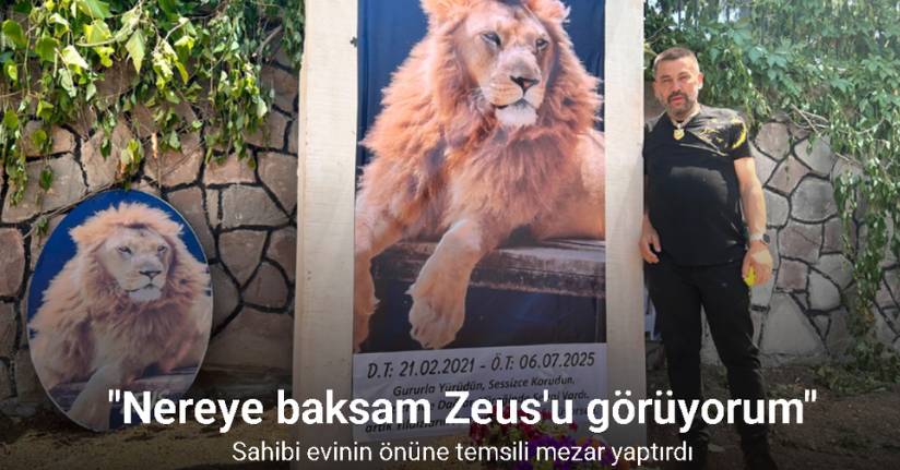 Saldırdığı çiftçiyi yaraladıktan sonra öldürülen aslanın sahibi evinin önüne temsili mezar yaptırdı