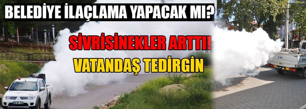 Haşere Sorunu Ciddi Boyutta