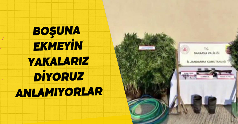  Sakarya İl Jandarma Komutanı'ndan zehir tacirlerine net mesaj