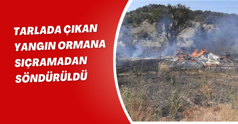 Tarlada çıkan yangın ormana sıçramadan söndürüldü