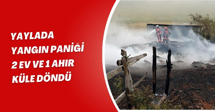 Yaylada yangın paniği: 2 ev ve 1 ahır küle döndü