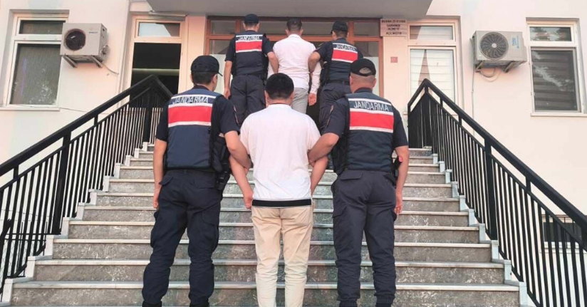 Çanakkale'deki orman yangınının çıkış nedeni, sigara izmariti