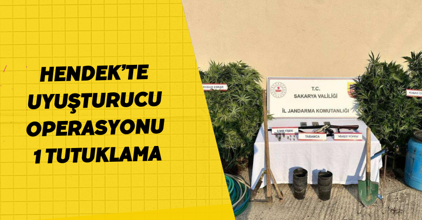 Hendek'te uyuşturucu operasyonu: 1 tutuklama