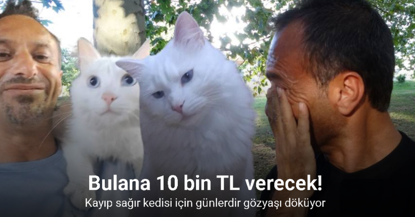 Her yerde onu arıyor: Bulana 10 bin TL verecek