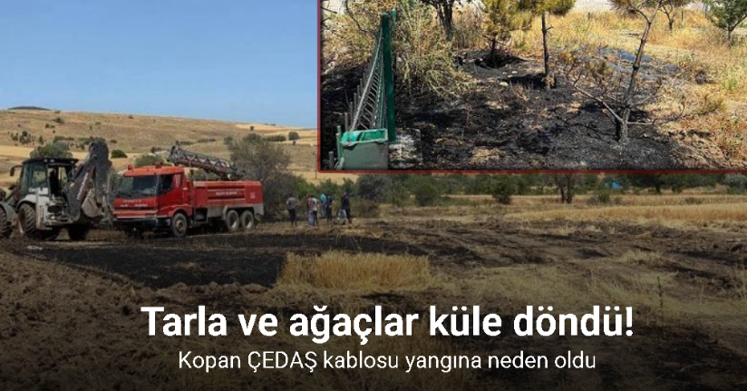 Kopan ÇEDAŞ kablosu yangına neden oldu
