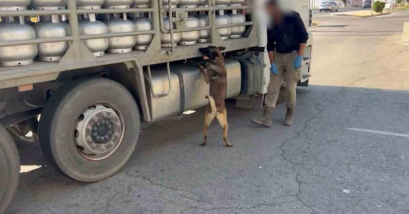 Piknik tüpü içinde eroin nakliyatı