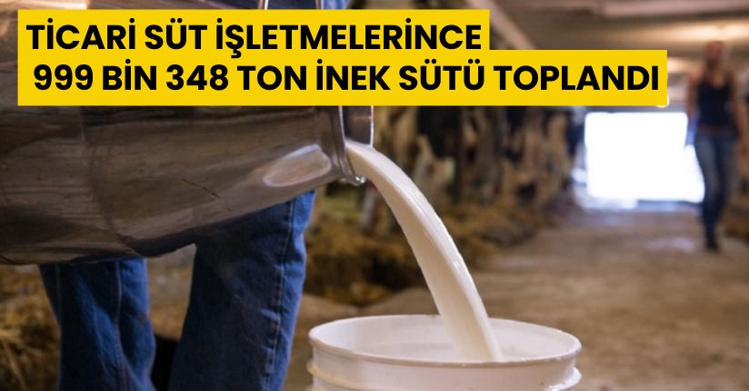 Ticari süt işletmelerince 999 bin 348 ton inek sütü toplandı