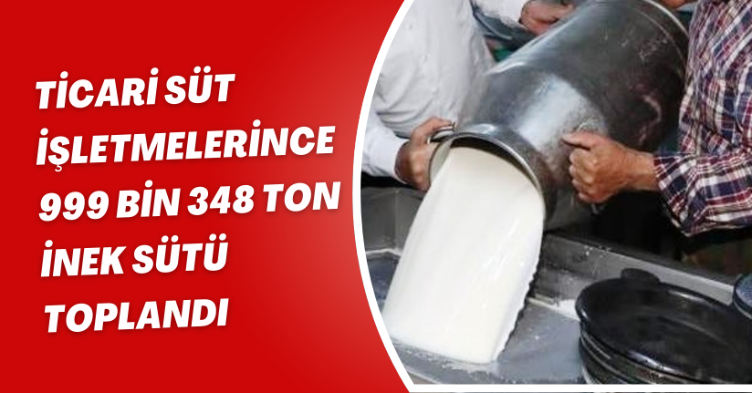Ticari süt işletmelerince 999 bin 348 ton inek sütü toplandı