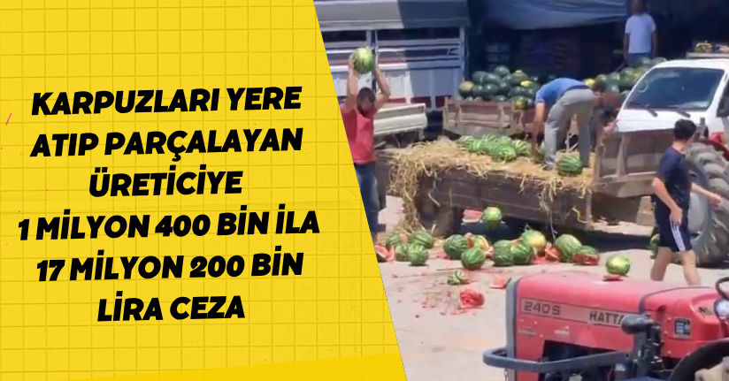 Karpuzları yere atıp, parçalayan üreticiler hakkında işlem başlatıldı