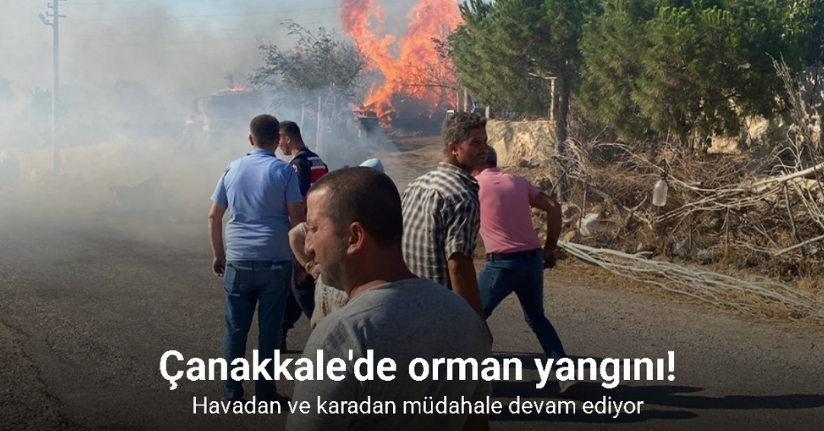 Çanakkale’deki orman yangını Naldöken köyüne sıçradı, bazı evler alevlere teslim oldu