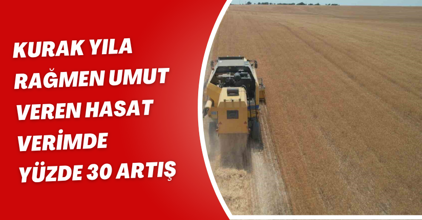 Kurak yıla rağmen umut veren hasat: Verimde yüzde 30 artış