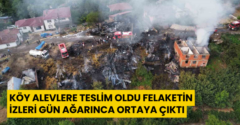 Köy alevlere teslim oldu: Felaketin izleri gün ağarınca ortaya çıktı