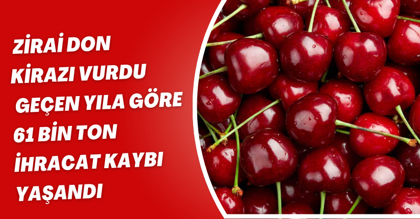Zirai don kirazı vurdu, geçen yıla göre 61 bin ton ihracat kaybı yaşandı