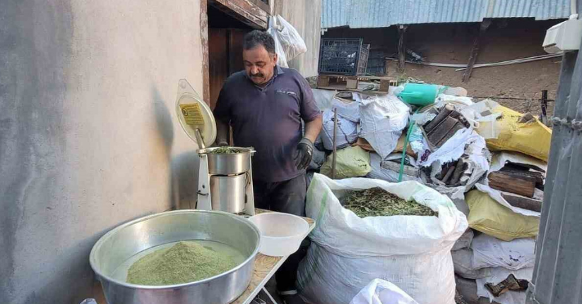 120 çeşit bitkinin karışımıyla elde edilen baharat; Zetrin