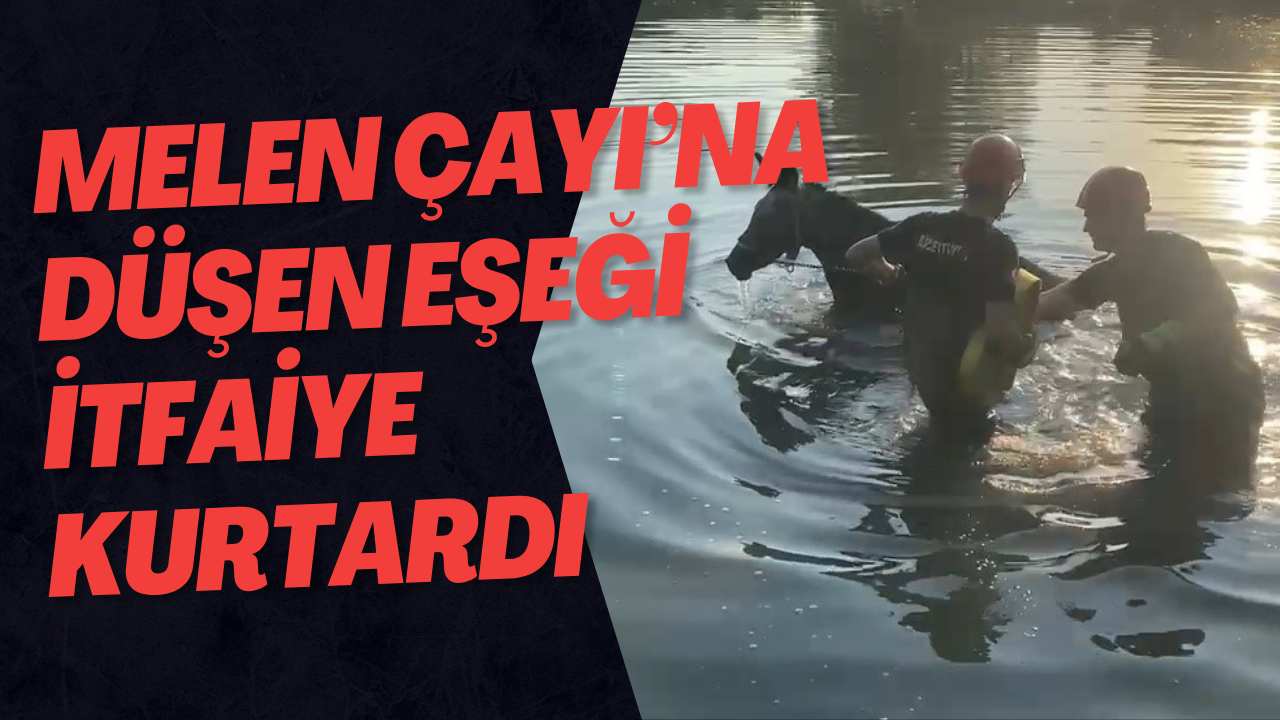 Melen Çayı’na Düşen Eşeği İtfaiye Kurtardı