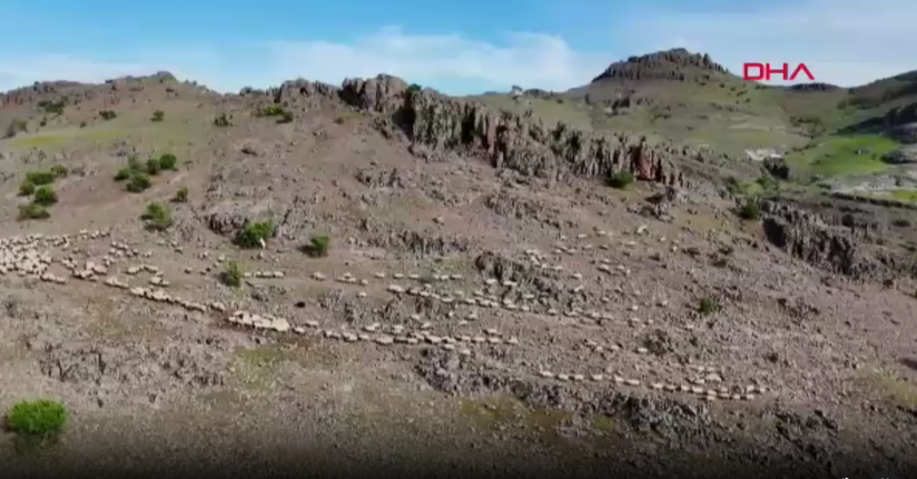 Tunceli’de yaylaya yıldırım düştü; 200 küçükbaş öldü