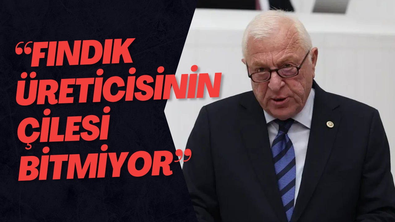 “Fındık Üreticisinin Çilesi Bitmiyor”