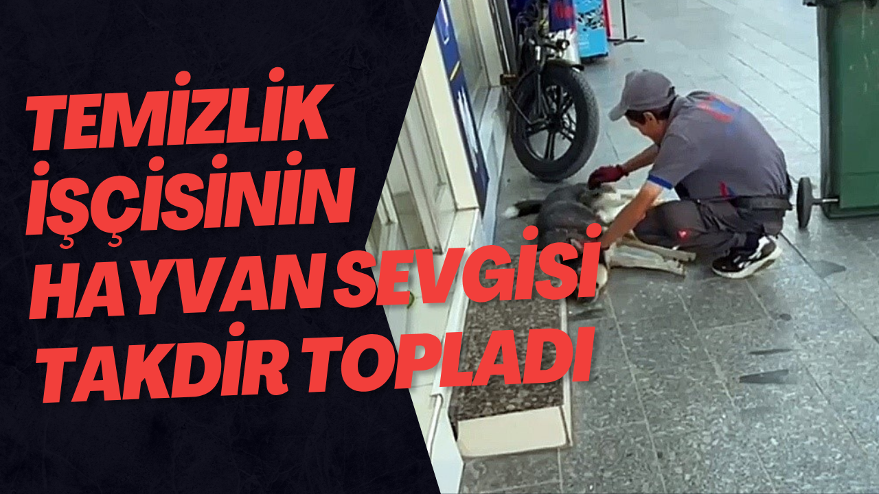 Temizlik İşçisinin Hayvan Sevgisi Takdir Topladı