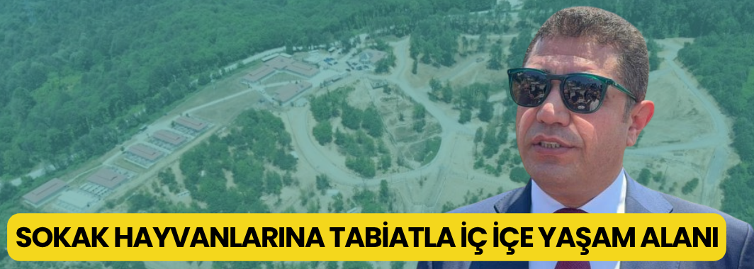 Sokak Hayvanlarına Tabiatla İç İçe Yaşam Alanı