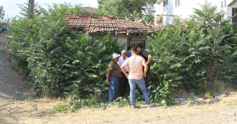 Bir şehir bunu konuşuyor: Keloğlan’ın Çankırılı olduğu iddiası gündem oldu