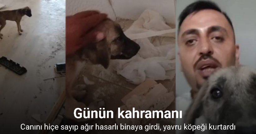 Canını hiçe sayıp ağır hasarlı binaya giren vatandaşın, yıkım öncesi yavru köpeği kurtardığı anlar kamerada