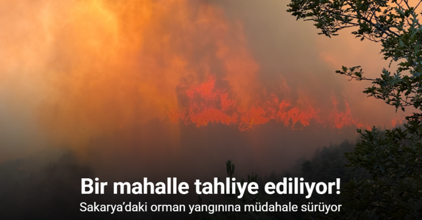 Sakarya’daki orman yangınına müdahale sürüyor: Bir mahalle tahliye ediliyor
