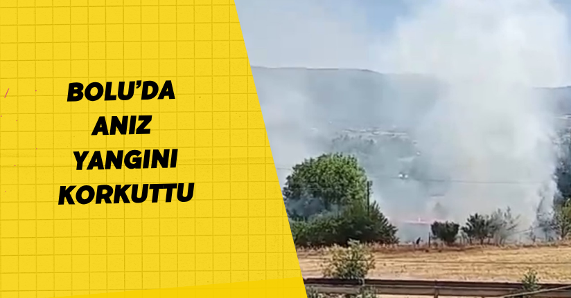 Bolu’da anız yangını korkuttu