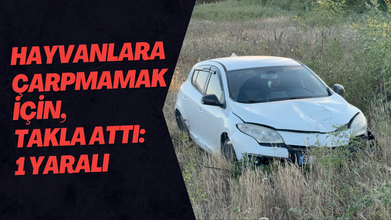Büyükbaş Hayvana Çarpmamak İçin Manevra Yapınca Aracı Şarampole Uçtu: 1 Yaralı