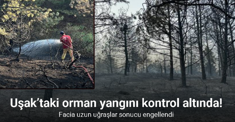 Uşak’taki orman yangını kontrol altında