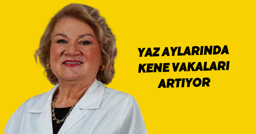 Yaz aylarında kene vakaları artıyor