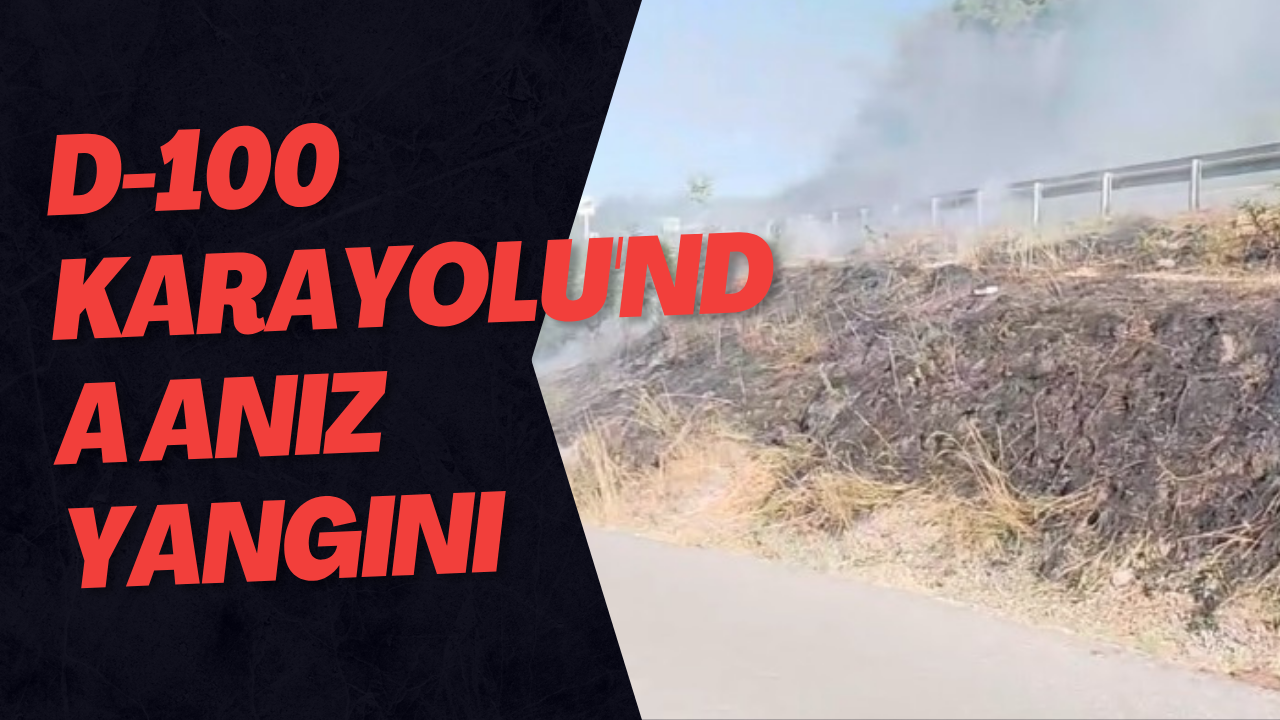 D-100 Karayolu'nda Anız Yangını