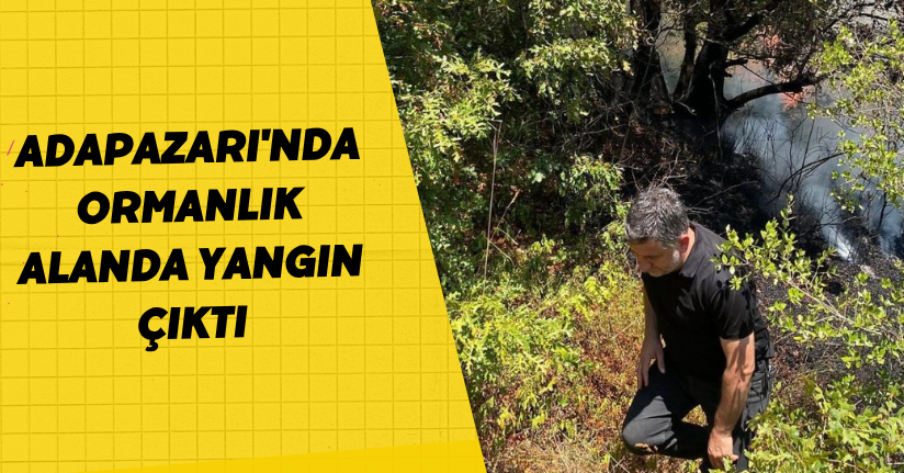 Adapazarı'nda ormanlık alanda yangın çıktı