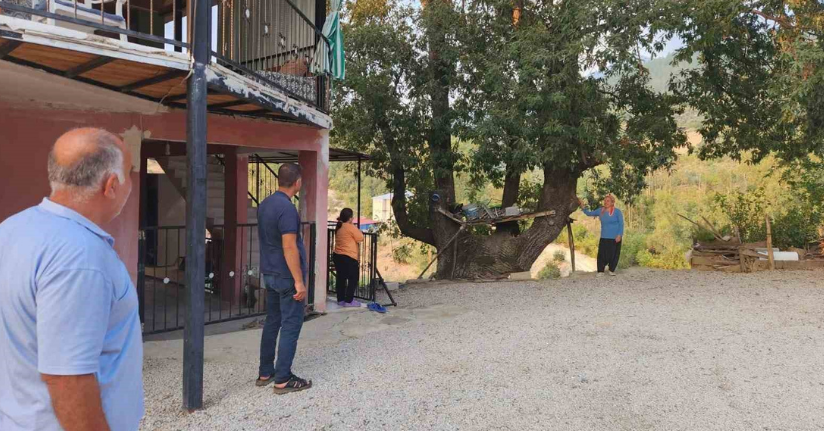 Dallarıyla 