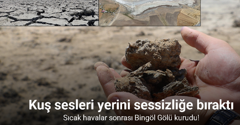 Sıcak havalar sonrası Bingöl Gölü kurudu, kuş sesleri yerini sessizliğe bıraktı