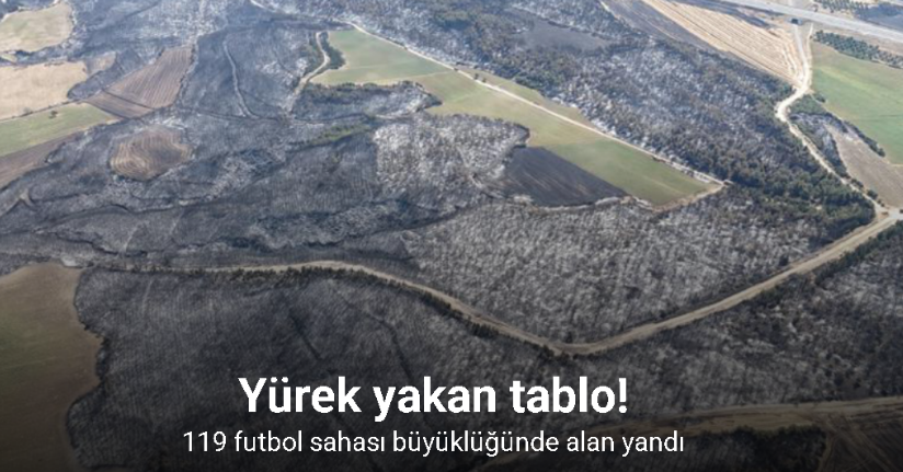 Tekirdağ’daki orman yangınında Çanakkale’de 119 futbol sahası büyüklüğünde alan yandı