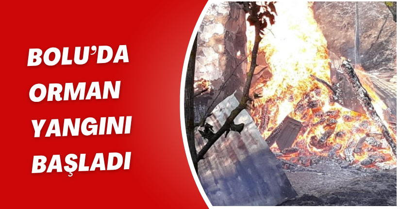 Bolu’da orman yangını başladı