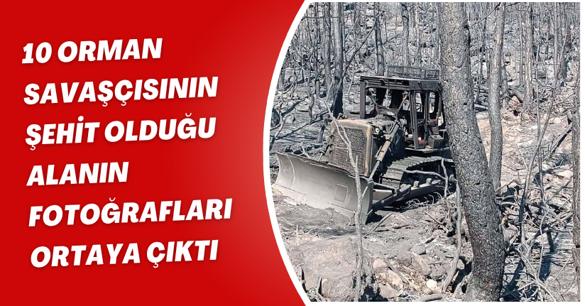 10 orman savaşçısının şehit olduğu alanın fotoğrafları ortaya çıktı