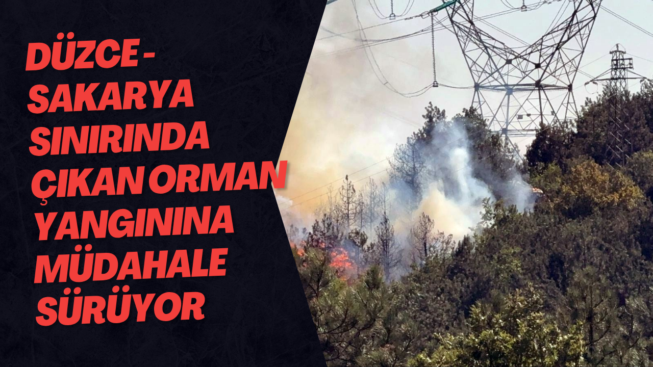 Düzce - Sakarya Sınırında Çıkan Orman Yangınına Müdahale Sürüyor