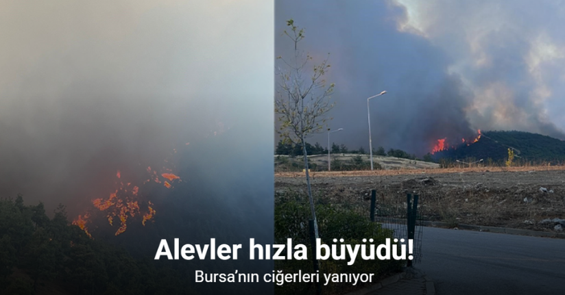 Bursa’nın ciğerleri yanıyor