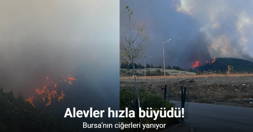 Bursa’nın ciğerleri yanıyor