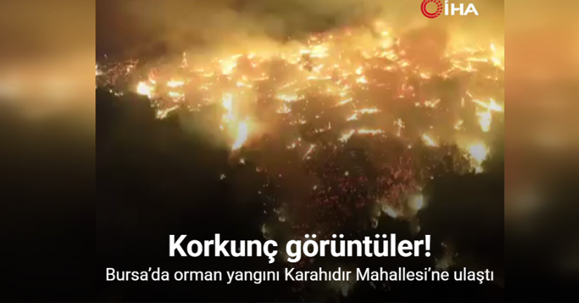 Bursa’da orman yangını Karahıdır Mahallesi’ne ulaştı