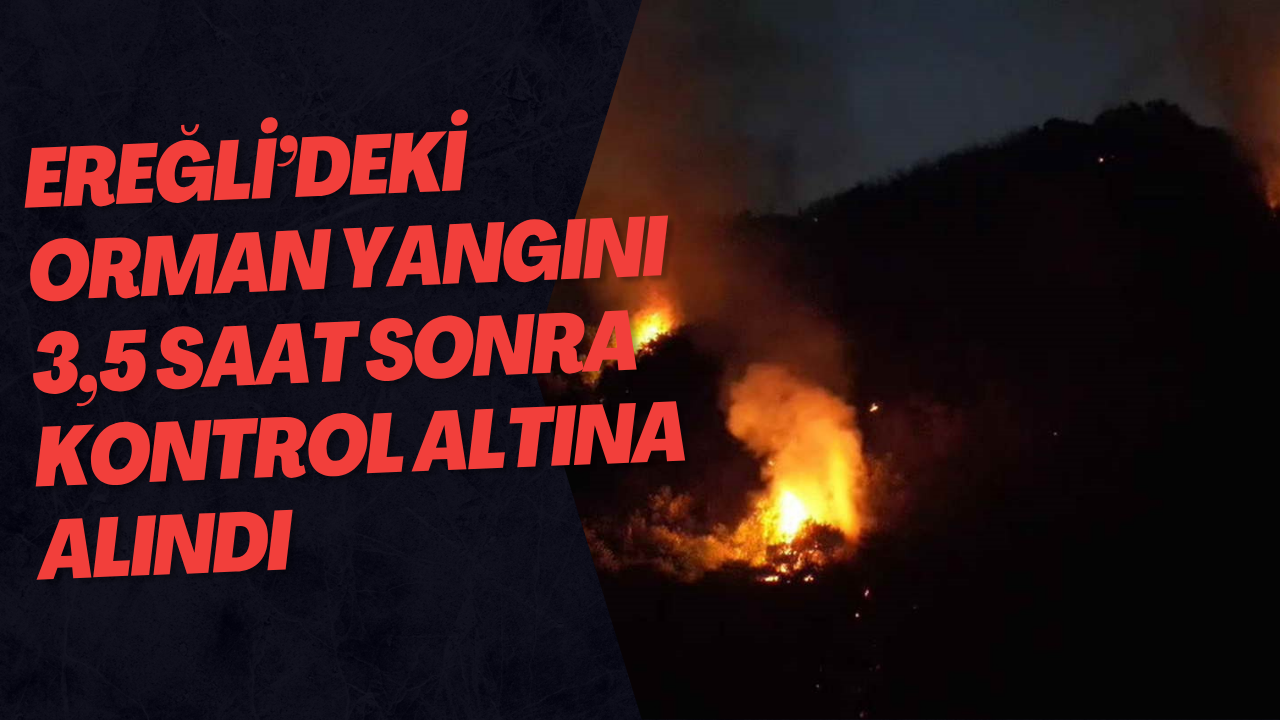 Ereğli’deki Orman Yangını 3,5 Saat Sonra Kontrol Altına Alındı