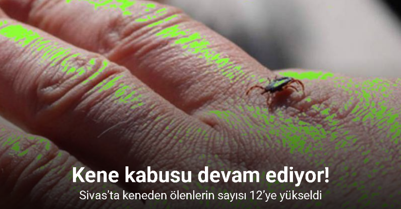 Kene kabusu devam ediyor, Sivas’ta keneden ölenlerin sayısı 12’ye yükseldi