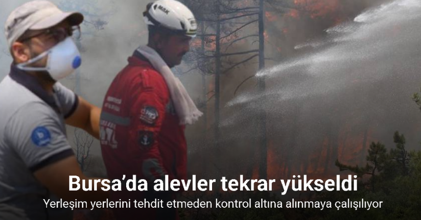 Bursa’da alevler tekrar yükseldi