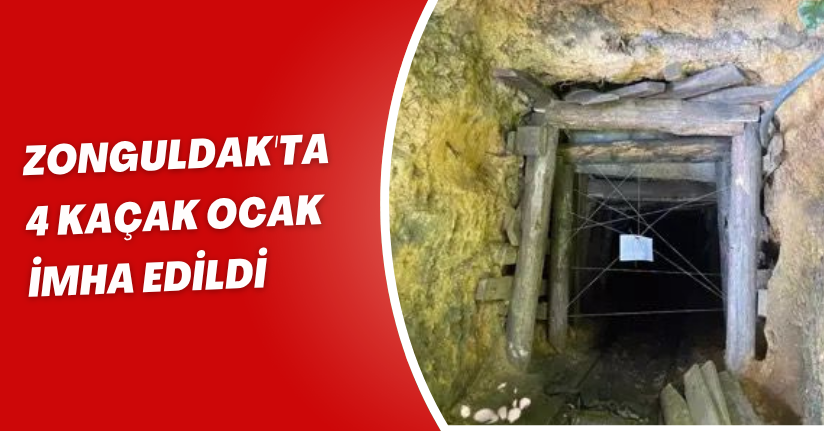 Zonguldak'ta 4 kaçak ocak imha edildi
