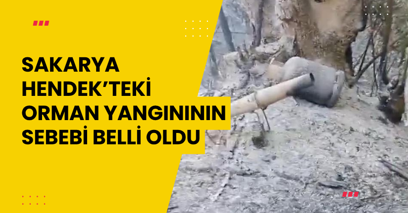 Sakarya Hendek’teki orman yangınının sebebi belli oldu